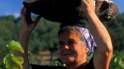 Sapori del Mediterraneo a Vaiano