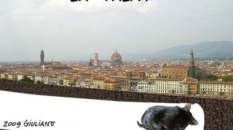 Alta velocità e Trasporti pubblici in Consiglio provinciale lunedì prossimo