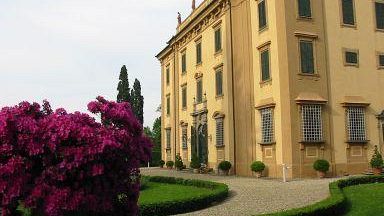 La rosa del Chianti: regina dei fiori in mostra a San Casciano