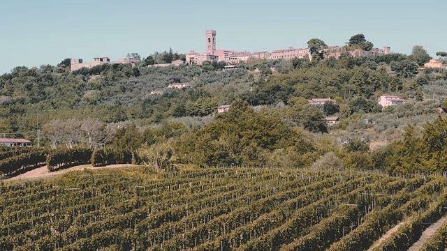 Carlo Cassola ieri e oggi: una storia da Oscar