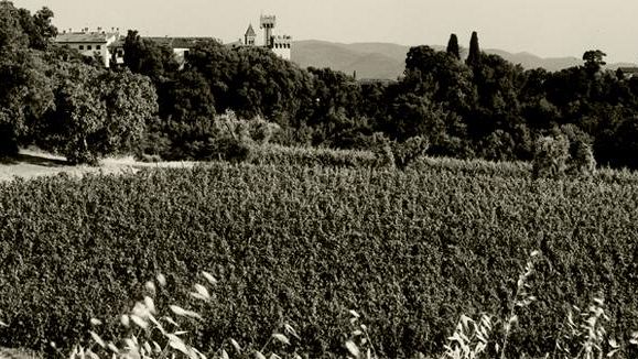 Vino: la Tenuta diventa virtuale