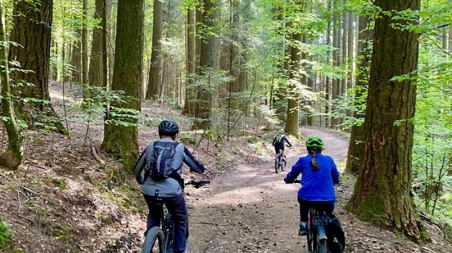 M'illumino di meno: l'impegno di Firenze per il risparmio energetico