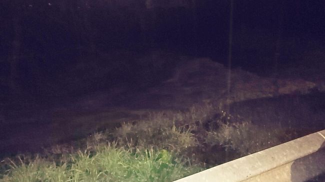 Galluzzo, ore 3,15 della notte: l'Ema fa la voce grossa