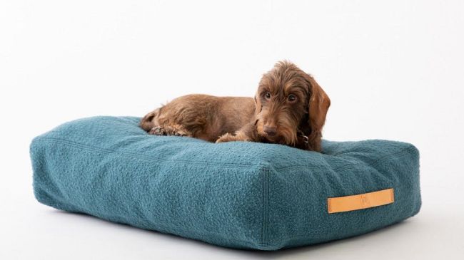 La lana Casentino per cucce e accessori pet