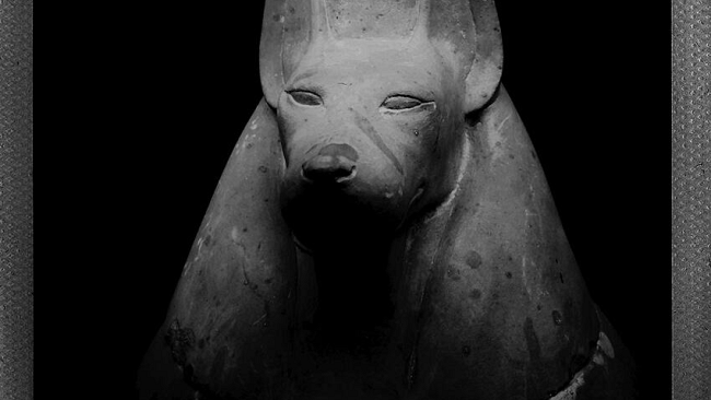 Non ci è dato sapere niente di Carlo Fei