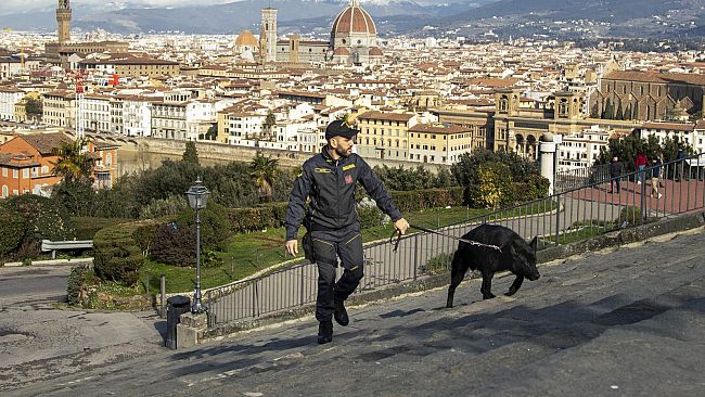 Gioco delle tre carte: decalogo a beneficio dei turisti