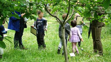 Bambini 0-3 anni: partono i centri estivi a Firenze