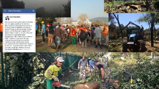 Tempesta a Firenze: il downburst, danni e polemiche