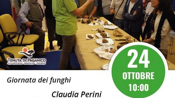 Mostra di funghi e frutti selvatici al Parterre