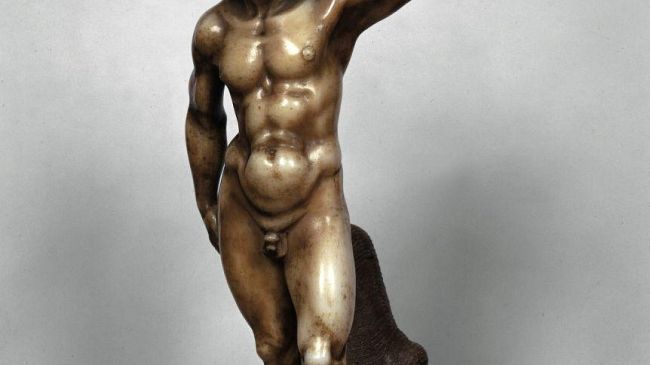 Michelangelo a Siena