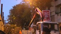 Cade albero a Villa Vogel, era stato controllato a giugno 2025