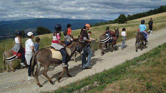 Il fine settimana nelle Foreste Casentinesi