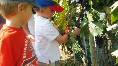 Torna ''L’Aia di Legnaia in festa''