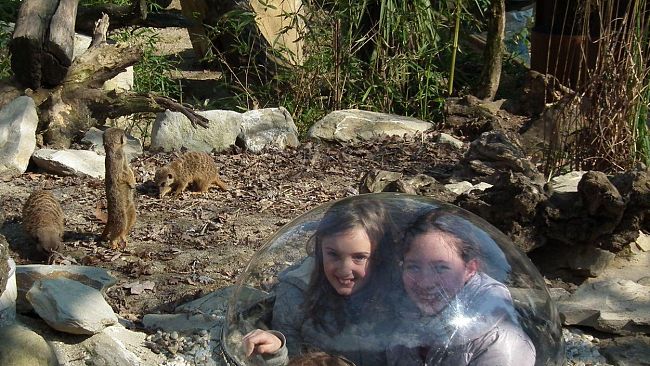 Arriva la primavera al Giardino Zoologico di Pistoia