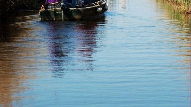 Birdwatching all'Oasi LIPU di Massaciuccoli