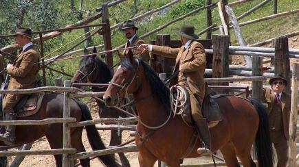 Firenze: sabato torna la magia dei Butteri alla Coop. Legnaia