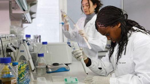 L'Italia perde l'addetto scientifico nella Silicon Valley di Santa Clara