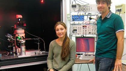 Visione diurna e notturna: scoperti meccanismi dei fotorecettori della retina