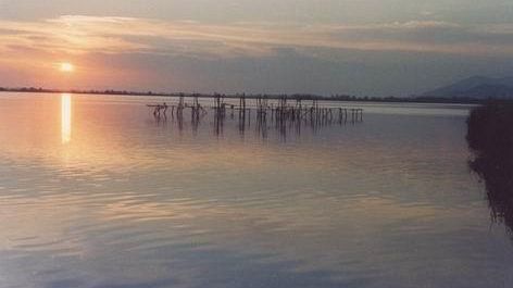 Orbetello, le analisi Arpat escludono l’inquinamento della laguna