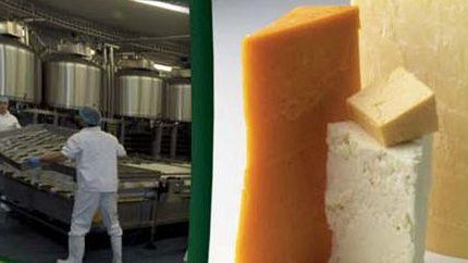 Latte ovi-caprino: come rilanciare la filiera?