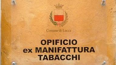 Sviluppo rurale, 50 milioni per il settore tabacco