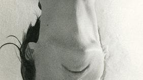 Cristina Comencini presenta il suo ultimo romanzo ''Lucy''