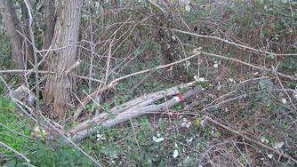 Valle del Torrente Mensola: un sentiero, o una strada?