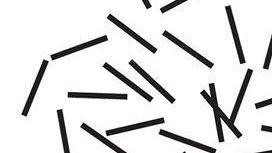 Carrara: il 4 settembre 2010 performance di Vanessa Beecroft