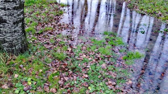 Pioggia: codice giallo su gran parte della Toscana fino a domenica