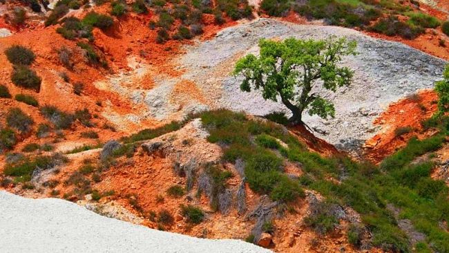 Geotermia: lunedì 25 luglio l'inaugurazione della centrale Bagnore 4