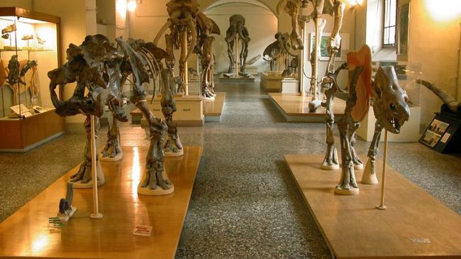 Riaprono l’Orto Botanico e il Museo di Geologia e Paleontologia