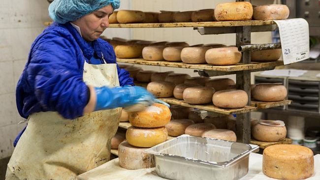 Pecorino Toscano Dop, nel 2015 venduto 1 milione di forme