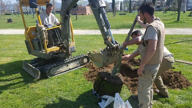 Radio Firenze per Albereta: piantati alberi per ricostruire il Parco