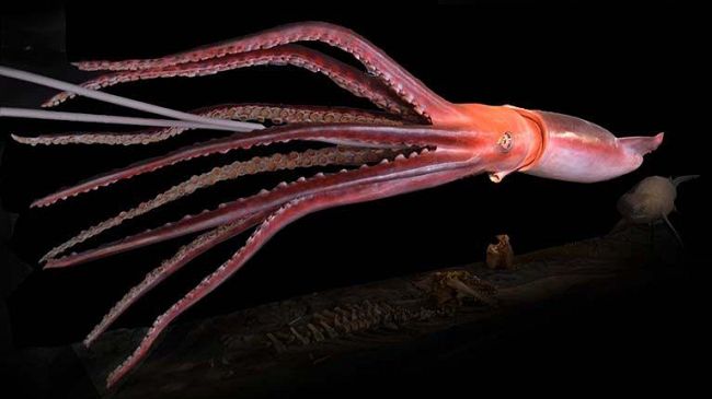 Abissi: Terra Aliena