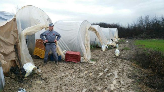 Orti dormitorio: fenomeno in espansione alle porte di Firenze