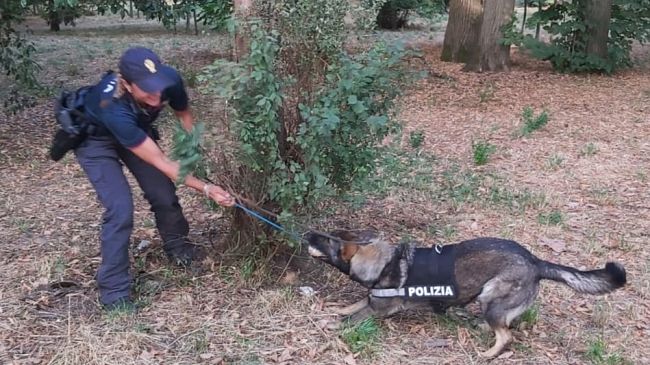 Storie di droga a Firenze