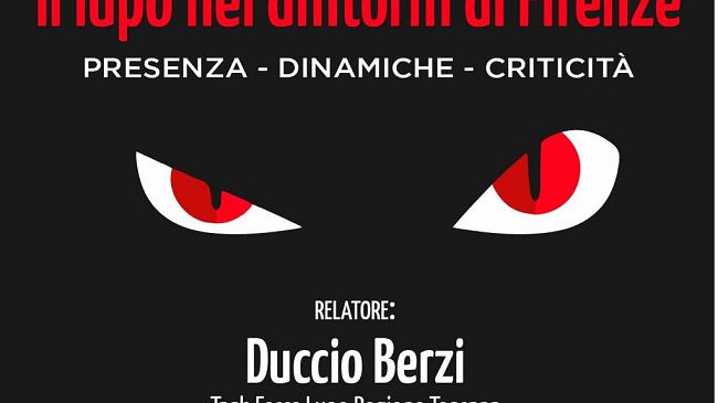 Emergenza lupo: allevatore di Lastra a Signa aggredito nella stalla