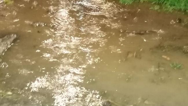 Pioggia, scattata una nuova allerta