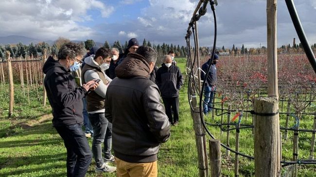 Gestione fitosanitaria senza chimica, passi avanti