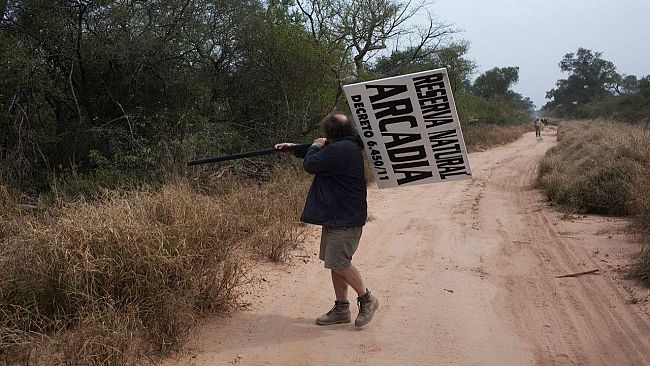 L'Arsenale di Pisa è il miglior cinema d'essai del 2014