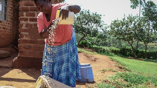 Earth Day 2021: domani proiezione su Palazzo Vecchio
