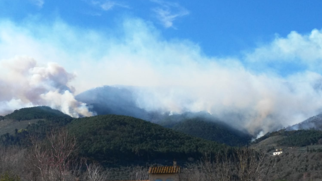 Incendi in Toscana: centinaia di ettari di boschi in fiamme