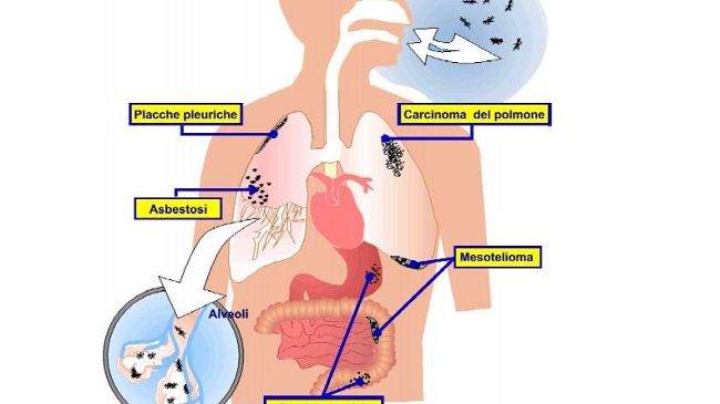 Amianto e acqua, Firenze inizia a pensarci
