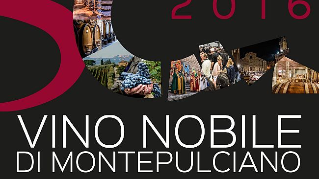 Vino: al momento una vendemmia molto apprezzata