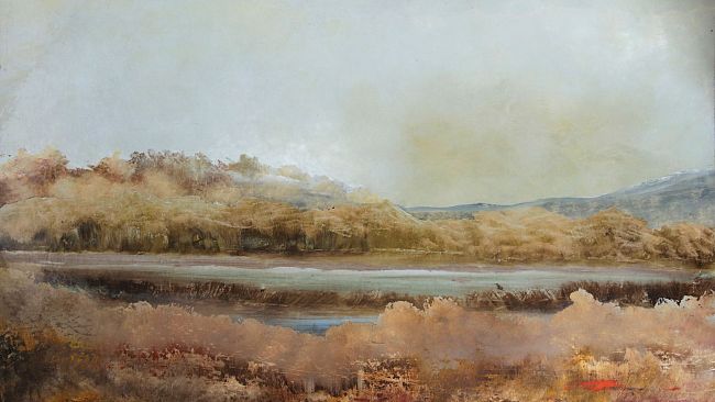 Annamaria Buonamici, originali opere in mostra a Lucca 