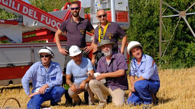 Padule di Fucecchio, salvato il pulcino delle cicogne