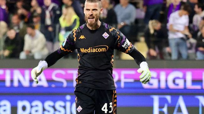 le-amichevoli-estive-della-fiorentina