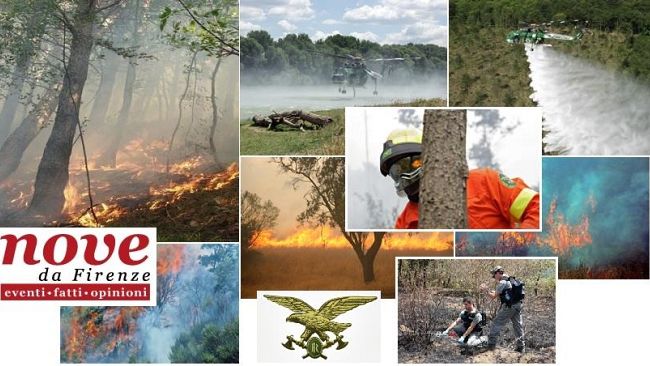 Corpo Forestale, pericolo incendi: cause, danni e consigli utili