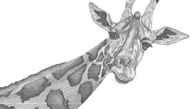 Biophilia Opere di Arianna Fioratti Loreto al  Museo ‘La Specola’