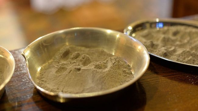 Dispersione ceneri alle Cascine: atti approvati in Consiglio comunale